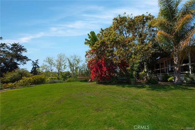 1680 Los Berros Rd, Arroyo Grande, CA 93420 - view of green lawn