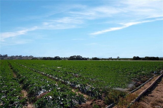 view of local wilderness featuring a rural view