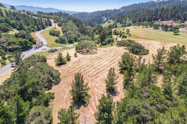 7905 Cinquenta Rd, Carmel CA, 93923 land for sale