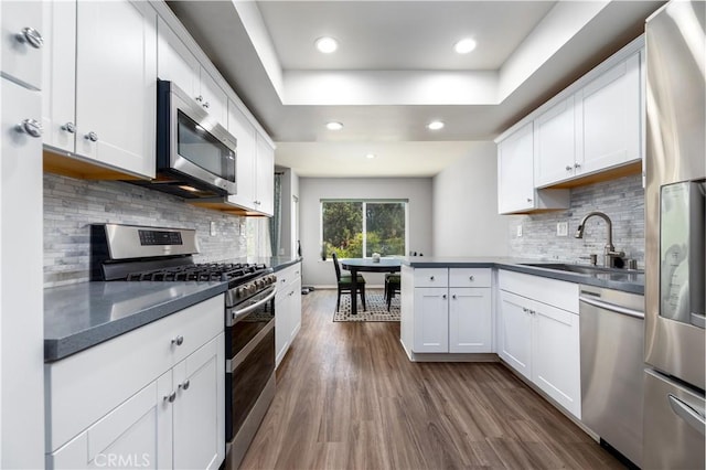 kitchen with backsplash, sink, dark hardwood / wood-style floors, appliances with stainless steel finishes, and white cabinetry