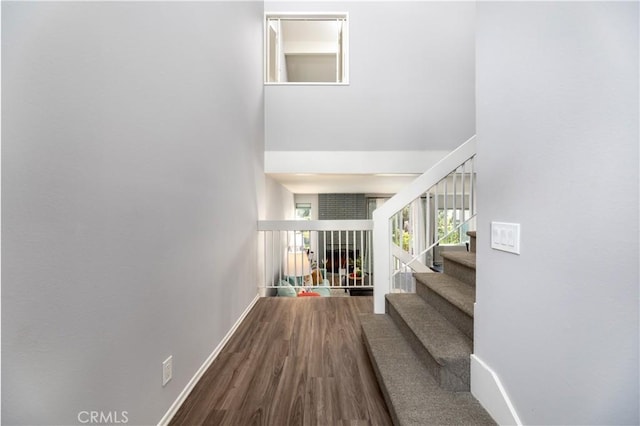 staircase featuring hardwood / wood-style flooring