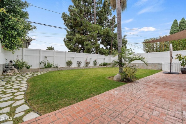 view of yard featuring a patio area