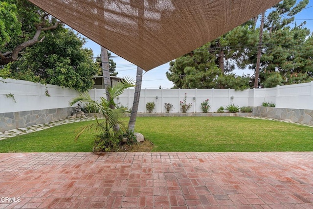 view of yard featuring a patio area