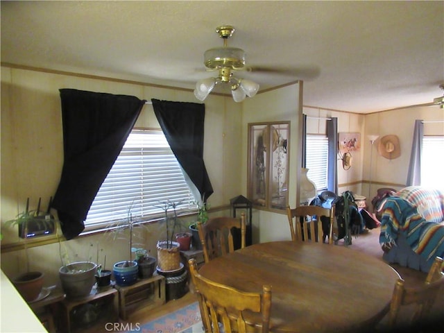 dining area featuring ceiling fan