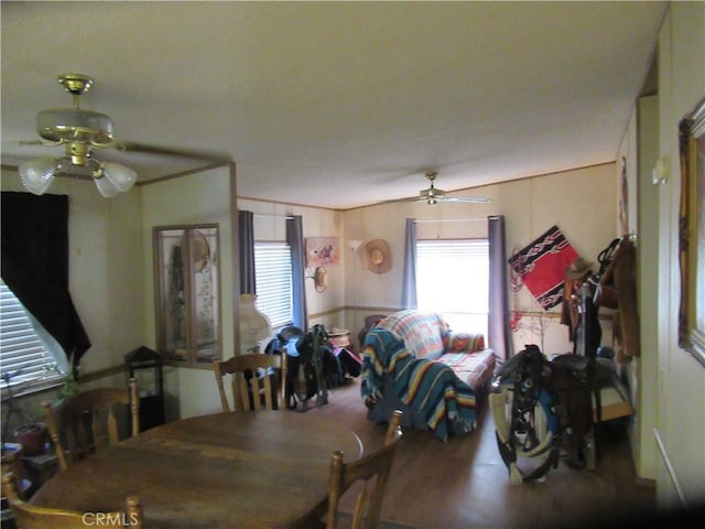 dining room featuring ceiling fan and hardwood / wood-style flooring