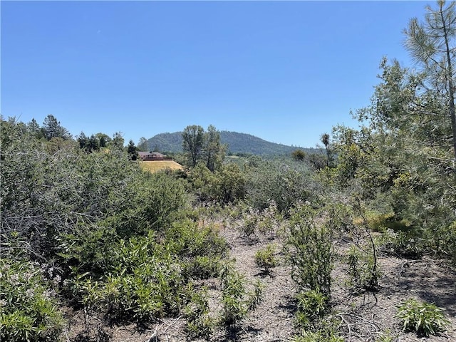 11 Suncrest Dr, Oakhurst CA, 93644 land for sale