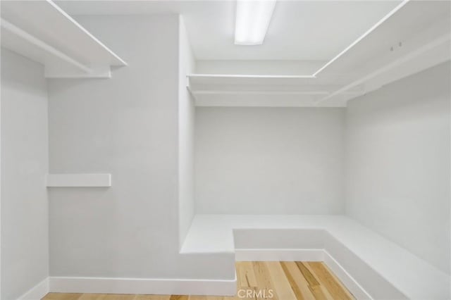 walk in closet with hardwood / wood-style floors