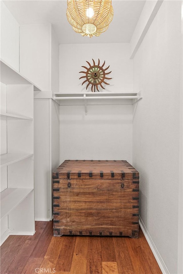 walk in closet with hardwood / wood-style floors