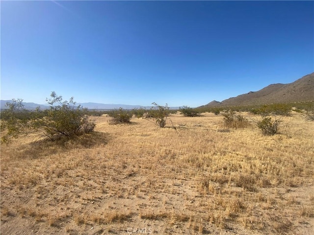 1 Falchion Rd, Apple Valley, CA 92307 - photo 4