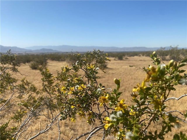 1 Falchion Rd, Apple Valley, CA 92307 - photo 2