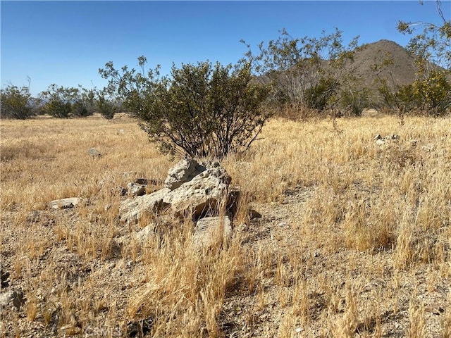1 Falchion Rd, Apple Valley, CA 92307 - photo 7