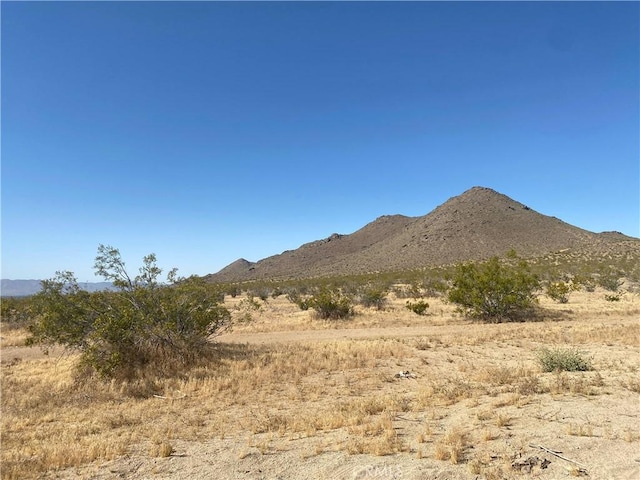 1 Falchion Rd, Apple Valley, CA 92307 - photo 5