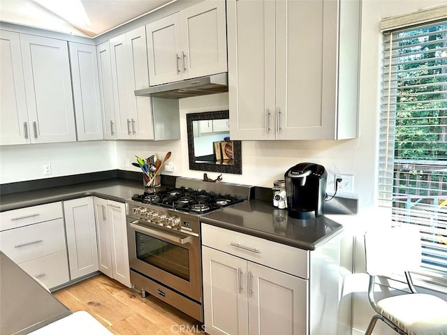 kitchen featuring high end stainless steel range oven and light wood-type flooring