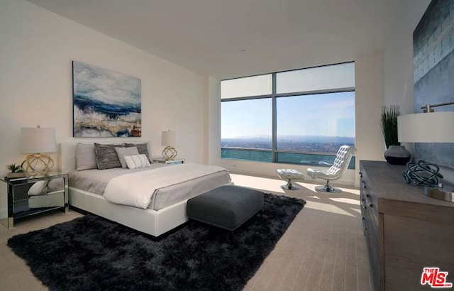 carpeted bedroom with a water view