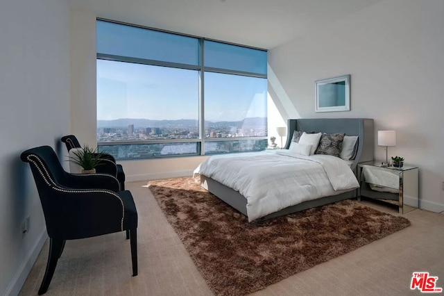 carpeted bedroom with a mountain view