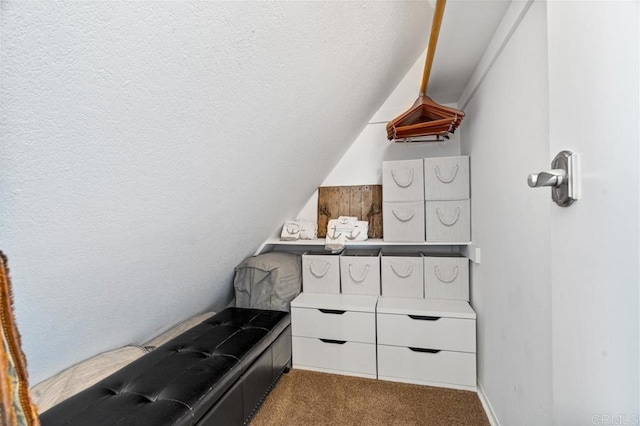 walk in closet with vaulted ceiling and carpet floors