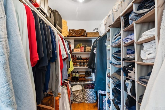 spacious closet with hardwood / wood-style floors