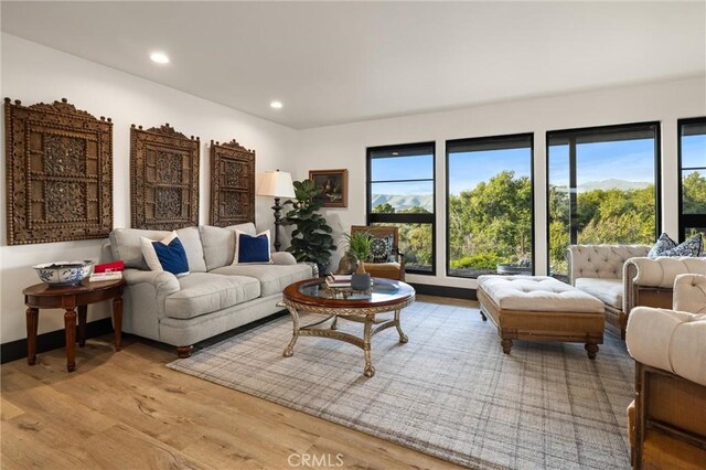 living room with hardwood / wood-style flooring