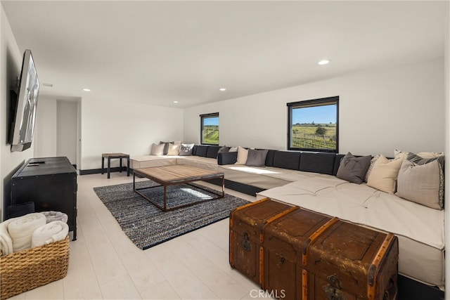 living room featuring light hardwood / wood-style flooring