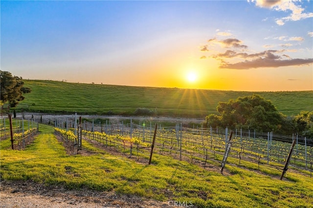 yard at dusk with a rural view