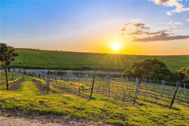 5951 Olivera Canyon Rd, Santa Maria, CA 93454 - photo 70