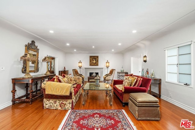 living room featuring wood-type flooring