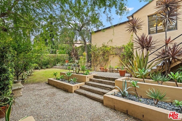 view of yard with a patio area