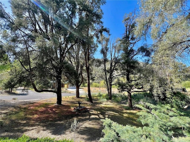 2601 Basel Ct, Pine Mountain Club, CA 93222 - photo 5