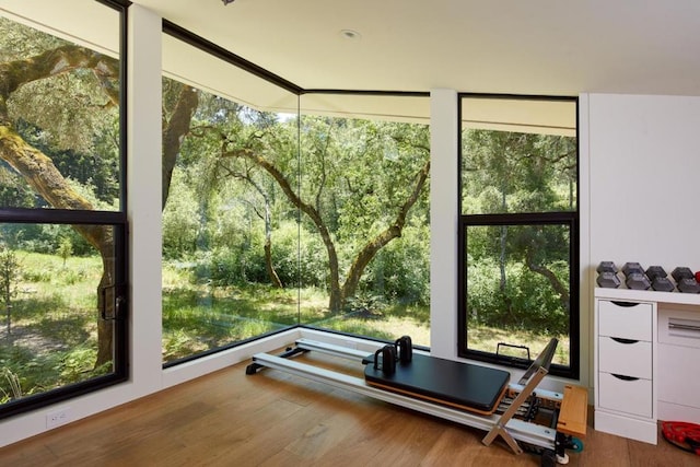 exercise area featuring wood-type flooring and a healthy amount of sunlight