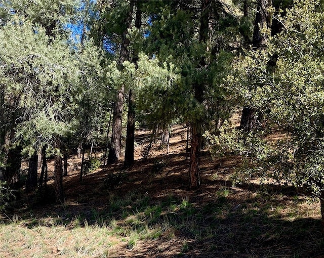 Listing photo 3 for 2000 Ironwood Dr, Pine Mountain Club CA 93222