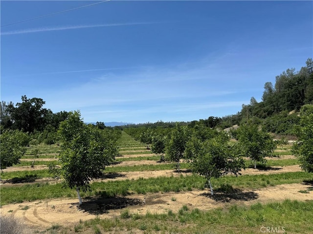 view of nature with a rural view