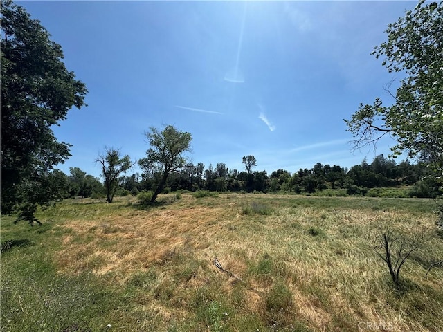 view of local wilderness featuring a rural view