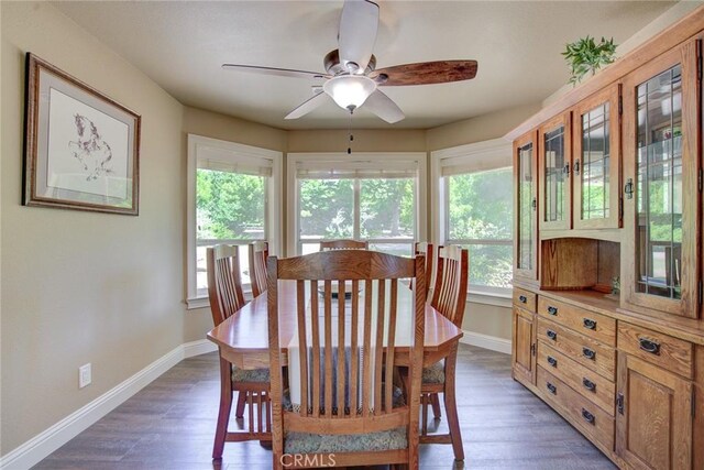 dining room featuring ceiling fan and dark hardwood / wood-style flooring