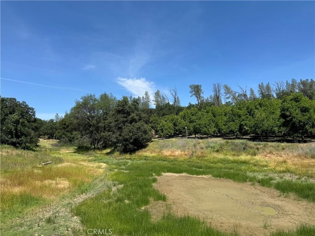 view of nature featuring a rural view