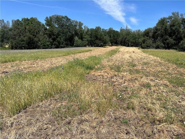 view of landscape with a rural view