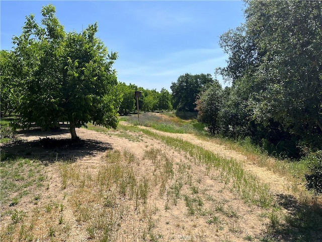 view of local wilderness featuring a rural view