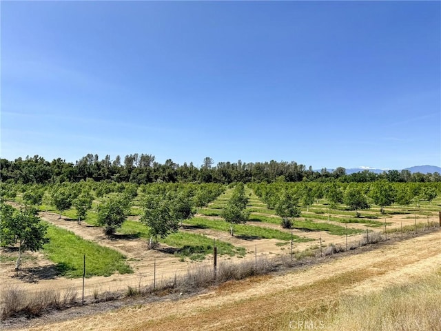 view of local wilderness with a rural view