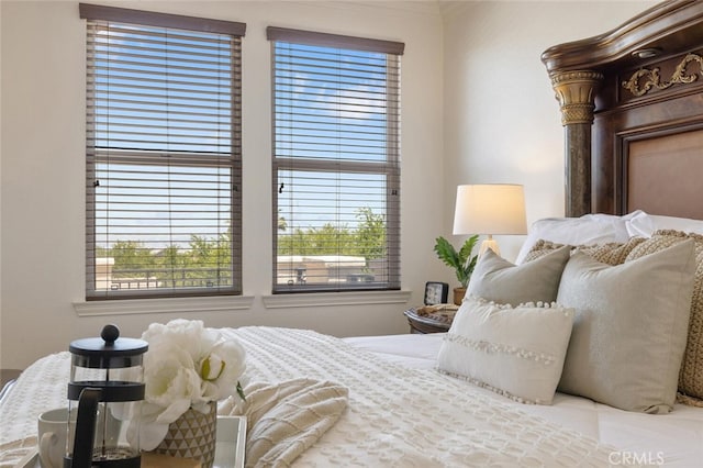 bedroom featuring multiple windows