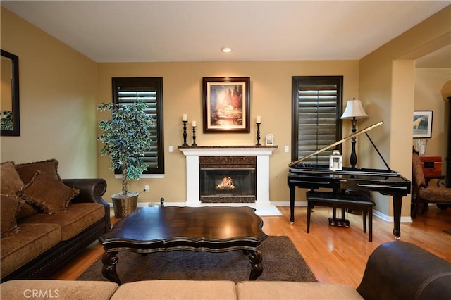 living room featuring light hardwood / wood-style floors