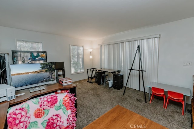 living room featuring a healthy amount of sunlight and carpet