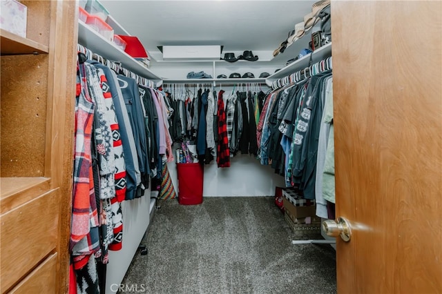 walk in closet featuring carpet flooring