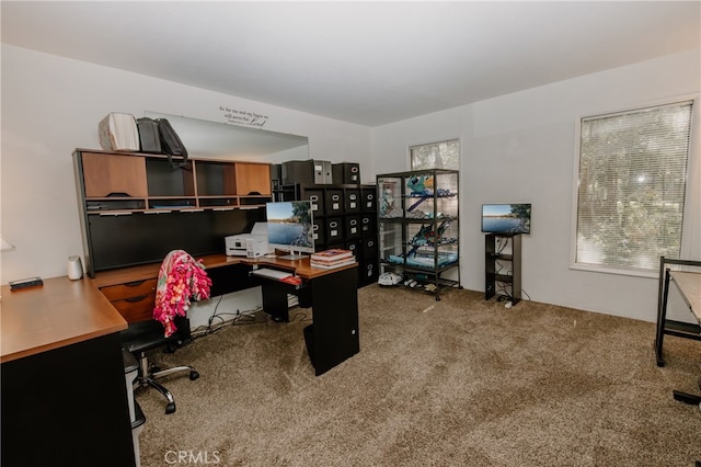 view of carpeted home office