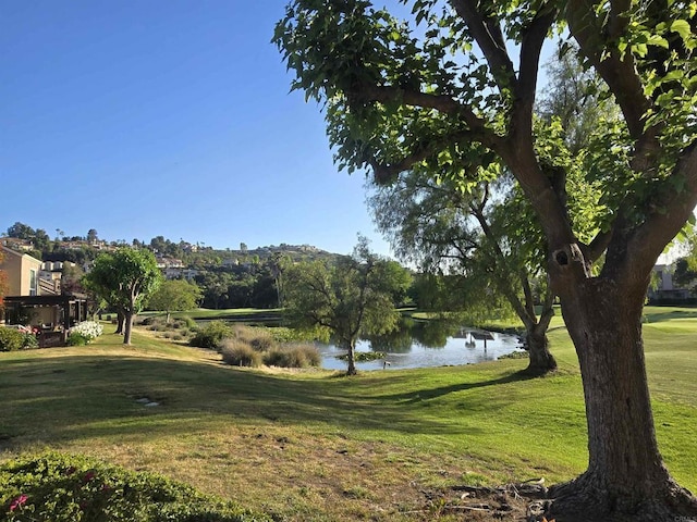 view of community featuring a water view and a yard