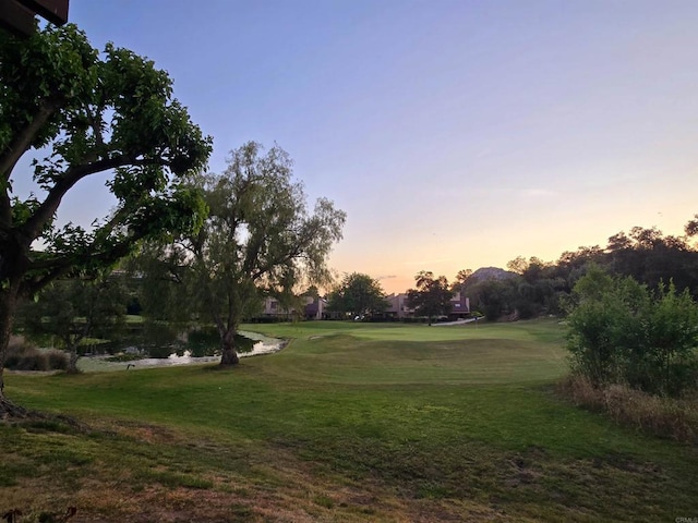 view of community featuring a lawn