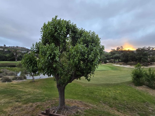 view of home's community featuring a yard