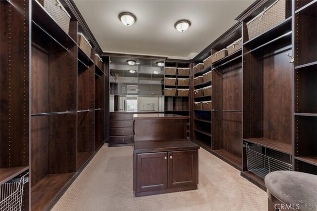 spacious closet with light colored carpet