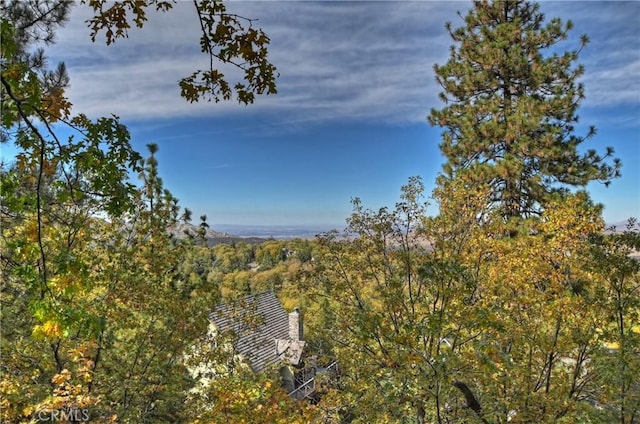 view of nature with a wooded view