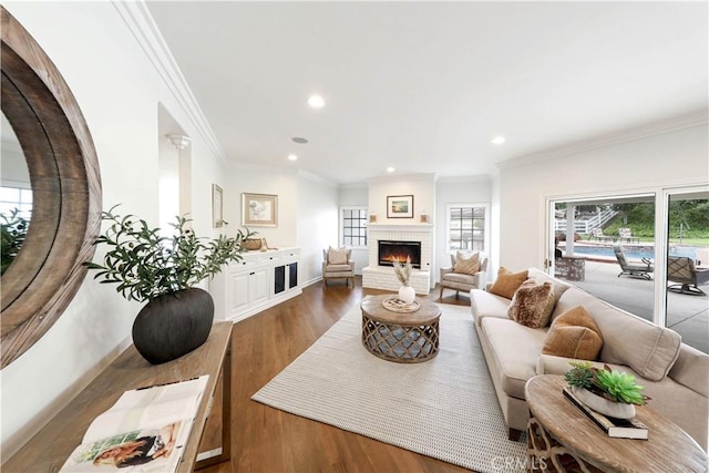 living room featuring a fireplace, ornamental molding, and dark wood-type flooring