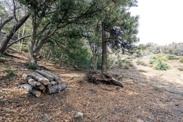 Listing photo 3 for 0 Timberline Dr, Wrightwood CA 93544