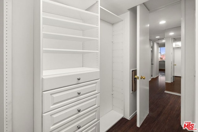 spacious closet featuring dark hardwood / wood-style flooring